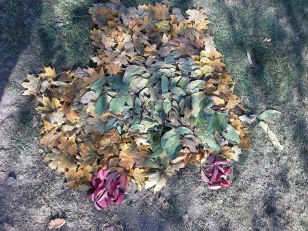 Jeseň - netradičné hodiny výtvarnej výchovy