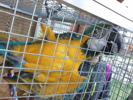 Regionálna vychádzka - Podzámčok