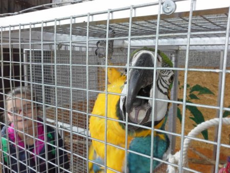 Regionálna vychádzka - Podzámčok