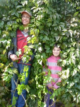 Jeseň - netradičné hodiny výtvarnej výchovy