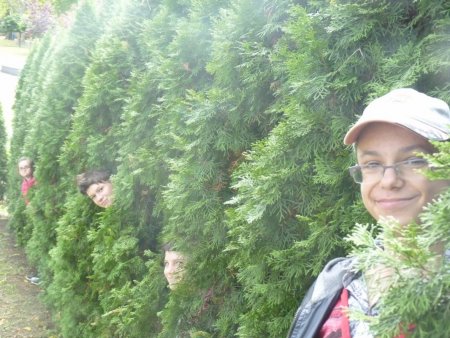 Jeseň - netradičné hodiny výtvarnej výchovy