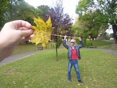 Jeseň - netradičné hodiny výtvarnej výchovy