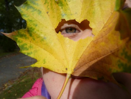 Jeseň - netradičné hodiny výtvarnej výchovy