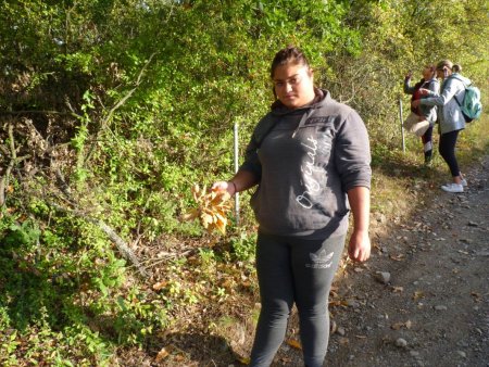 Účelové cvičenie