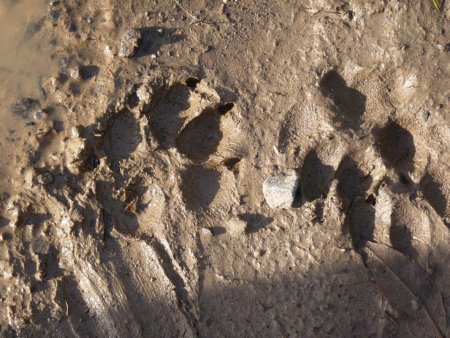 Účelové cvičenie