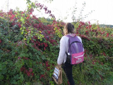 Účelové cvičenie