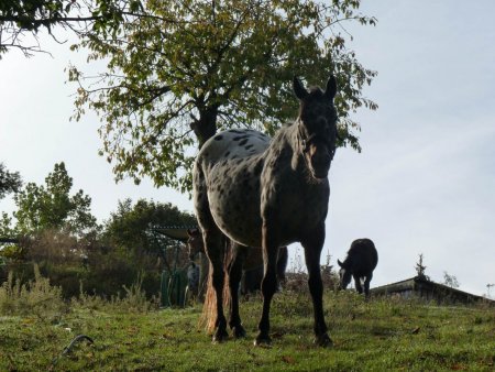 Účelové cvičenie