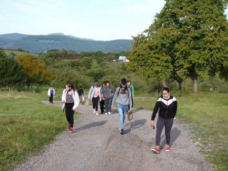 Účelové cvičenie