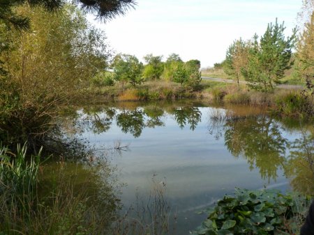 Účelové cvičenie