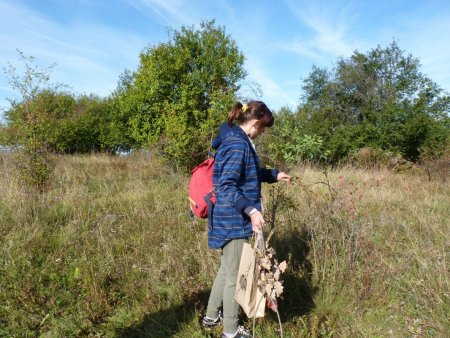 Účelové cvičenie
