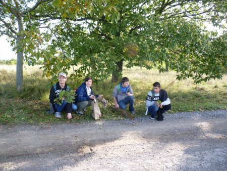 Účelové cvičenie