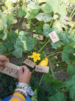 Netradičné vyučovanie - vlastiveda