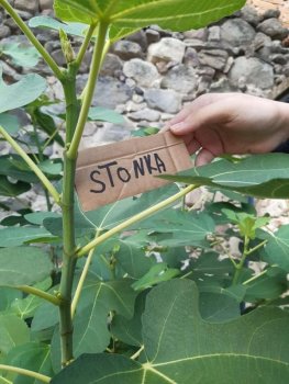 Netradičné vyučovanie - vlastiveda