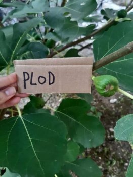 Netradičné vyučovanie - vlastiveda