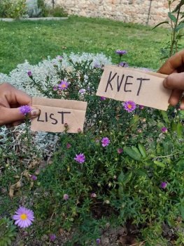 Netradičné vyučovanie - vlastiveda