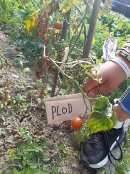 Netradičné vyučovanie - vlastiveda