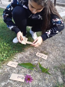 Netradičné vyučovanie - vlastiveda