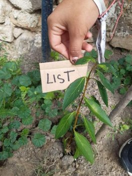 Netradičné vyučovanie - vlastiveda