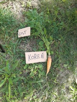 Netradičné vyučovanie - vlastiveda