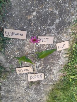 Netradičné vyučovanie - vlastiveda