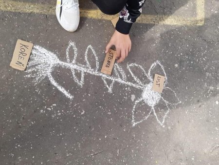 Netradičné vyučovanie - vlastiveda