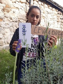 Netradičné vyučovanie - vlastiveda