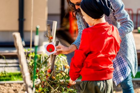 Záhrada, ktorá učí