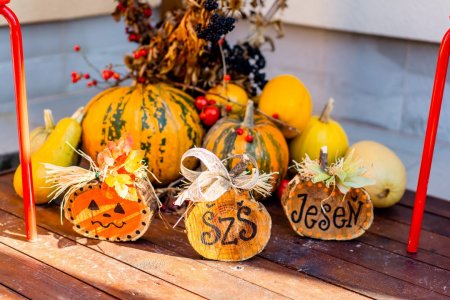 Záhrada, ktorá učí