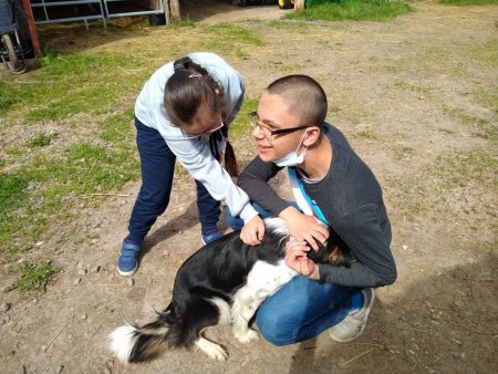 Enviromentálna vychádzka