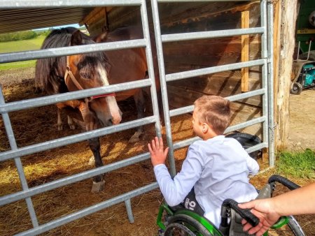 Enviromentálna vychádzka