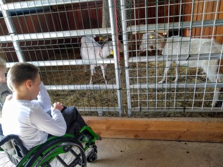 Enviromentálna vychádzka