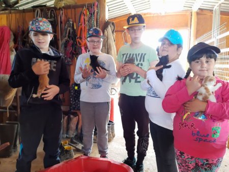 Enviromentálna vychádzka