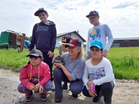 Enviromentálna vychádzka