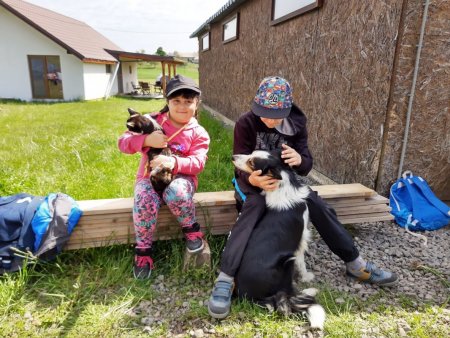 Enviromentálna vychádzka