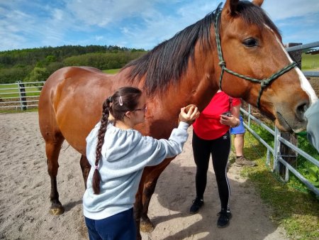 Enviromentálna vychádzka