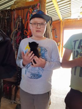 Enviromentálna vychádzka