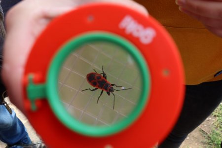 Účelové cvičenie na Vartovke