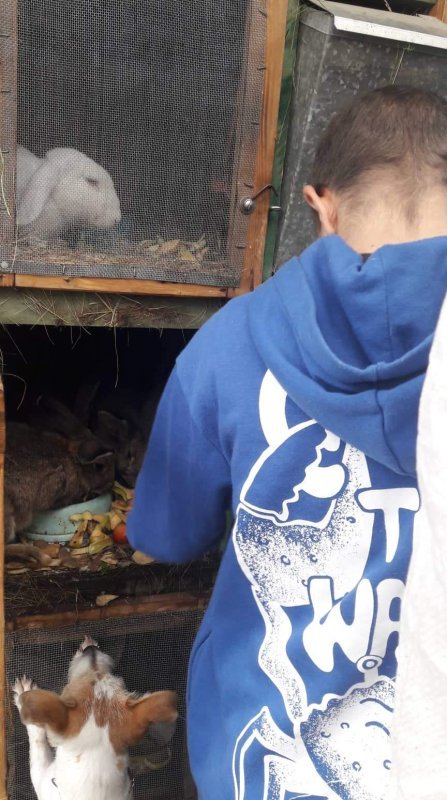 Prvá školská JESENNÁ VÝZVA v projekte