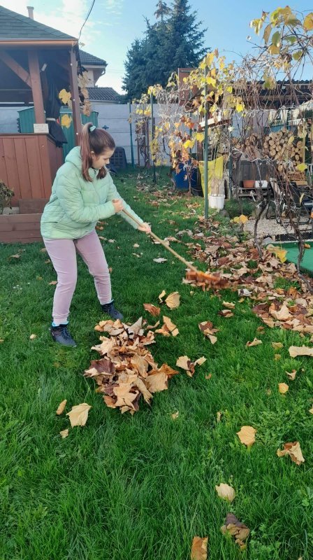 Prvá školská JESENNÁ VÝZVA v projekte