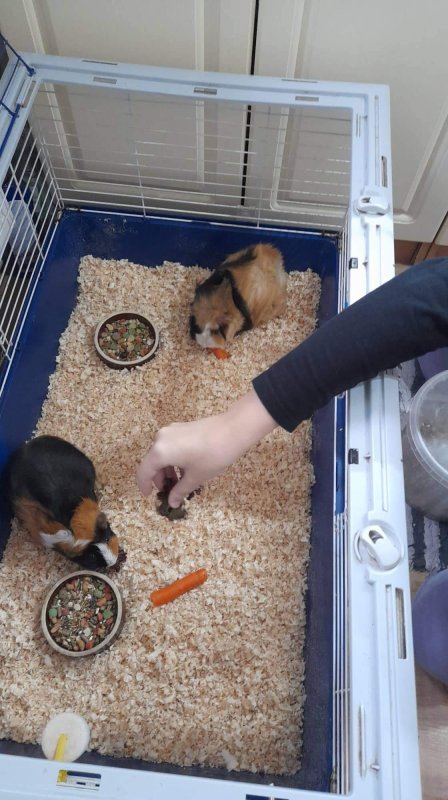 Prvá školská JESENNÁ VÝZVA v projekte