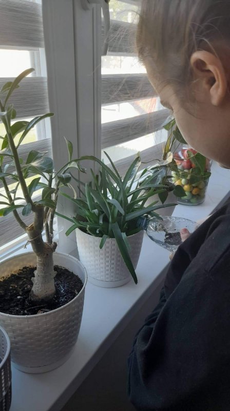 Prvá školská JESENNÁ VÝZVA v projekte