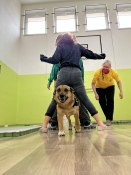Canisterapia s Luckou na hodine slovenského jazyka