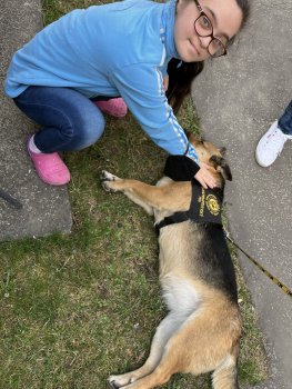 Canisterapia s Luckou na hodine slovenského jazyka