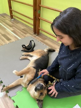 Canisterapia s Luckou na hodine slovenského jazyka