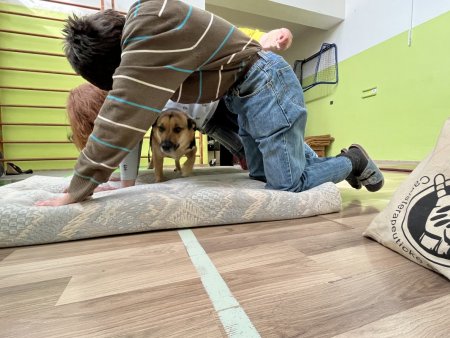 Canisterapia s Luckou na hodine slovenského jazyka