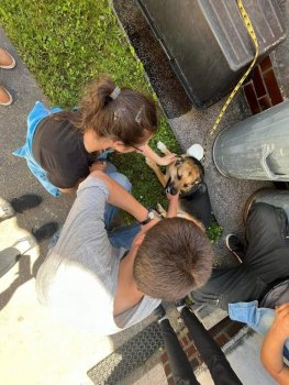 Canisterapia na hodine SJL