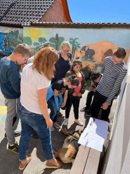 Canisterapia na hodine SJL