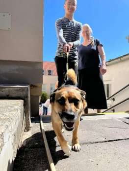 Canisterapia na hodine SJL