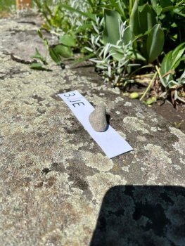 Canisterapia na hodine SJL