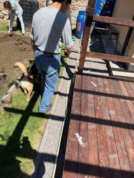 Canisterapia na hodine SJL